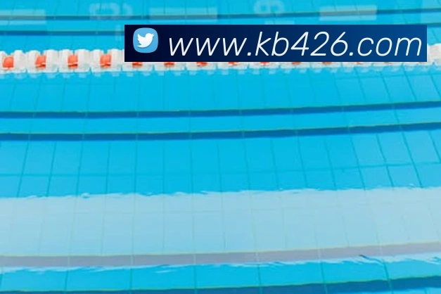 kb体育平台生态图